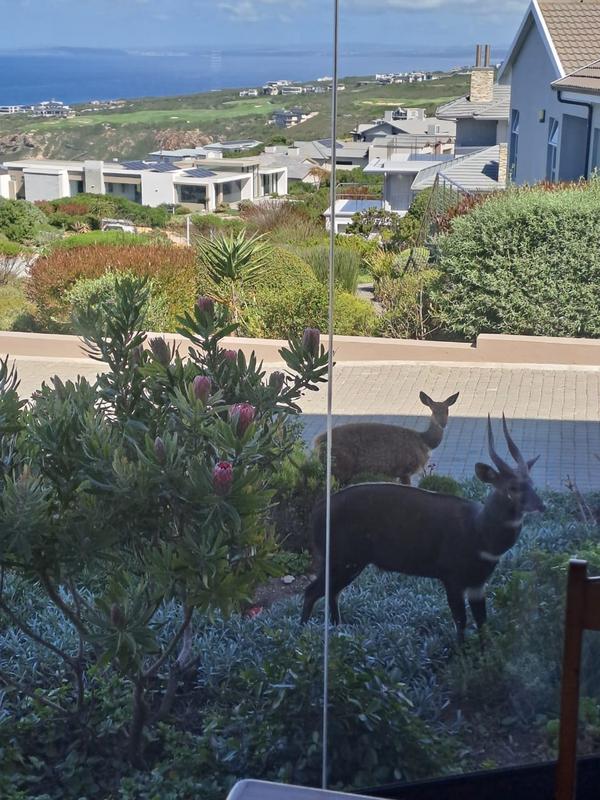 4 Bedroom Property for Sale in Pinnacle Point Golf Estate Western Cape